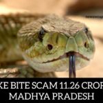 UNVEILING THE 11.26 CRORE SNAKEBITE SCAM IN MADHYA PRADESH