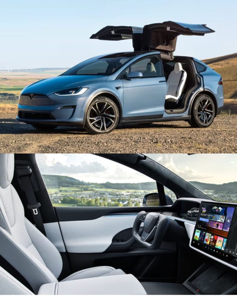 Tesla India Launch 2025